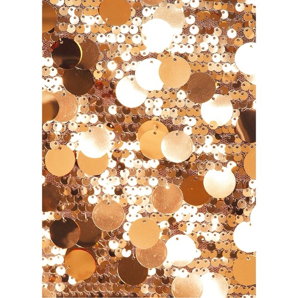 Sequin Mini Skirt Bronze Metallic Side Tie Festival Party NWT Size S Lioness - Picture 5 of 8